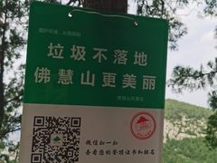 -佛慧山