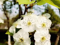 -白塘生态植物园