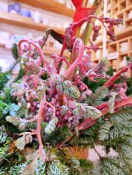 -今日陶艺(富力广场店)