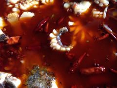 iphone_upload_pic-重庆乌鱼庄·龙滋鲜(青羊大道店)