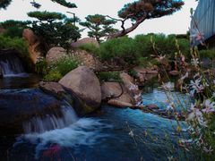 -罗红摄影艺术馆