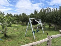 -爪吧宠物乐园 (温榆河示范区店)