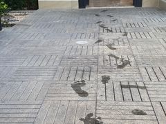 -三亚亚龙湾雅高铂尔曼别墅度假酒店