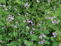 -下渚湖国家湿地公园科普馆