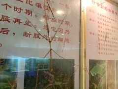 -上海昆虫博物馆