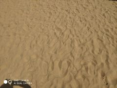 -普陀山风景名胜区-千步大沙