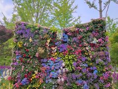 -武汉园博园(武汉自然博物馆)