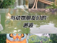 -红山森林动物园