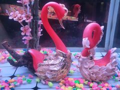 -巴特餐饮6加1音乐餐吧·新疆菜