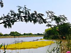 -梁鸿国家湿地公园