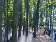 -东湖落雁景区