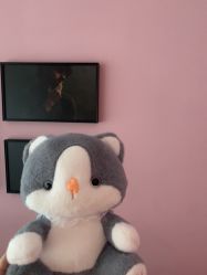 -莎蔓莉莎美容会所