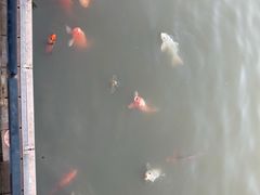 -春晖园度假酒店温泉