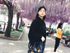-嘉定紫藤园