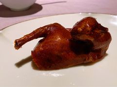 脆皮乳鸽-新荣记(南京西路店)