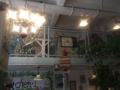 -Kitchen·Y洋厨房西餐厅(王府壹号店)