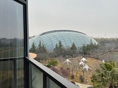 -洪湖悦兮半岛国际温泉度假村