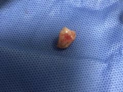 -浙江大学医学院附属口腔医院湖滨（延安）院区