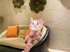 -水晶之星洗浴温泉汗蒸