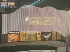 -东方体育中心(地铁站)