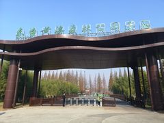 -黄海国家森林公园