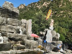 -大岭沟猕猴桃谷风景区