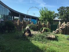 -大连森林动物园