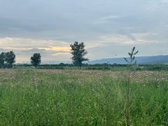 -敕勒川草原文化旅游区