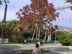 -朝阳公园游乐园