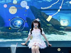 -海合安武汉极地海洋公园