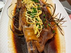 红烧鸭-新天明砂锅鱼头煲