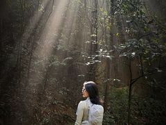 -火炉山森林公园