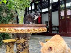 -西园戒幢律寺