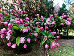 -京津新城温德姆至尊酒店(珠江大道店)