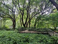 -杭州植物园