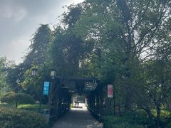 -白马涧龙池景区