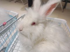 -怪兽屋·羊驼·猫咖·狗咖(俊华广场店)