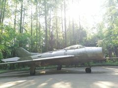 -东平国家森林公园