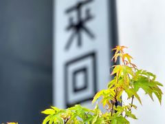 -来回·咖啡(钟村咖啡豆店)