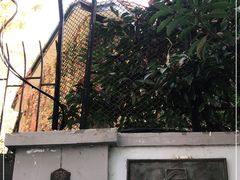 -巴金故居