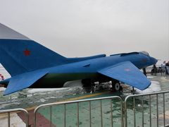 -泰达航母主题公园