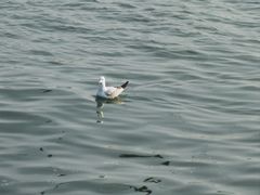 -蠡湖大桥公园