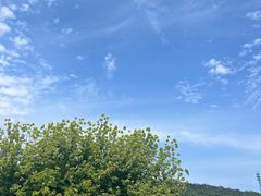 -棒棰岛宾馆景区