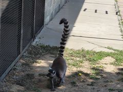 -石家庄市动物园