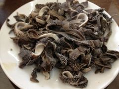 散丹-金生隆(六铺炕店)