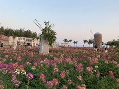-玫瑰海岸文化旅游度假区