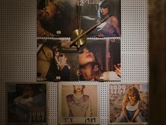 -树懒黑胶唱片店(中山路店)