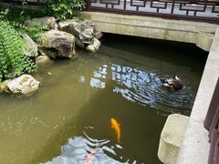 -杭州西子湖四季酒店-WL BISTRO西湖餐厅(灵隐路店)