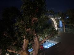 -渔·海鲜餐厅（东澳可域度假村内）南沙湾沙滩店