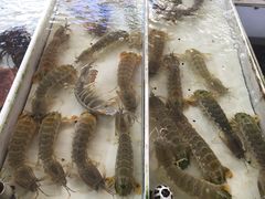 -南沙十九涌渔人码头-南门